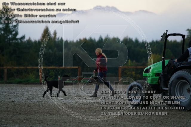 s_K3F09209.JPG
